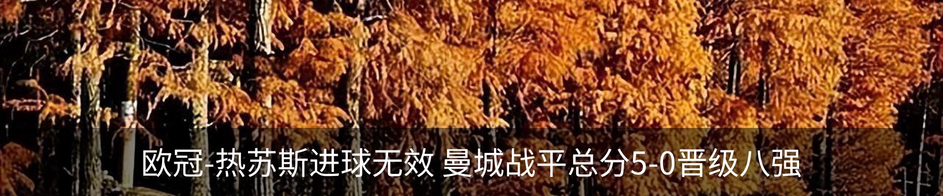 内页banner