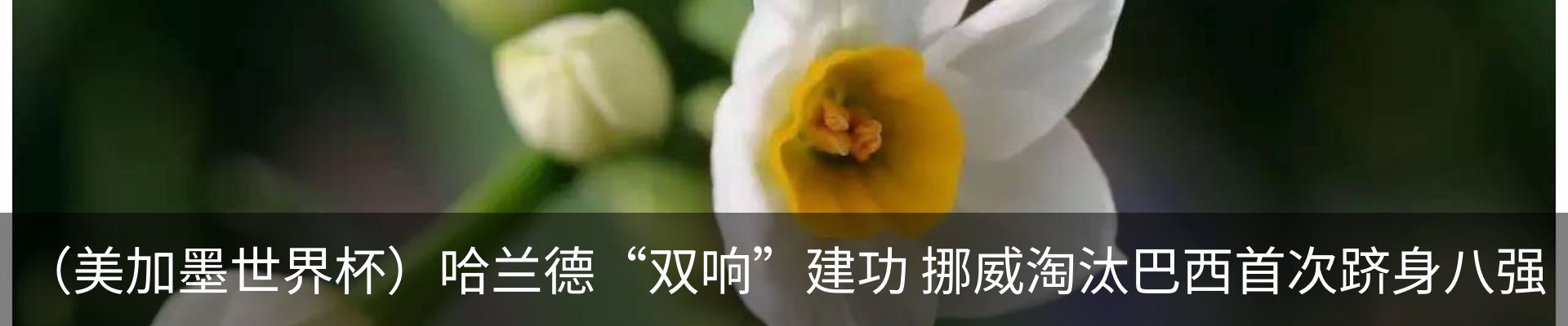 内页banner